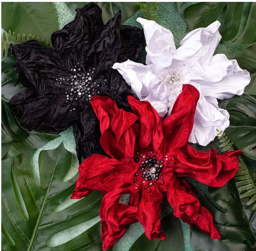 .JPG