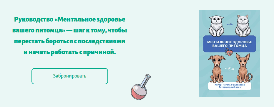 upload_2026-8-29_14-49-33.png